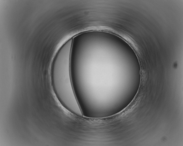 X0000091511046200708170945