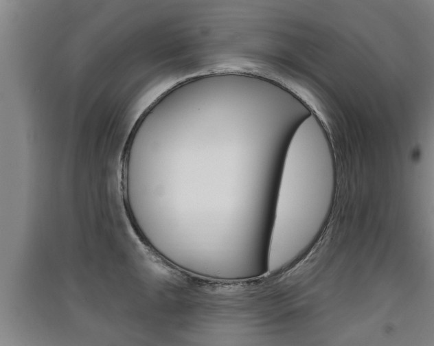 X0000091511047200708170945