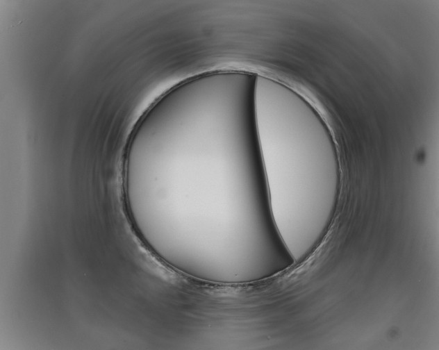 X0000091511048200708170945