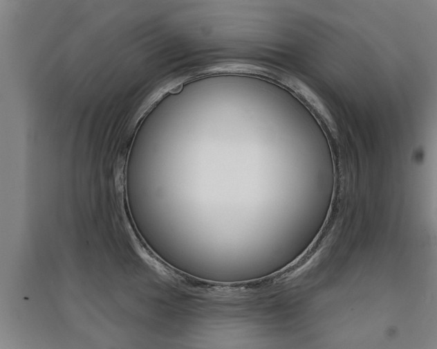 X0000091511049200708170945