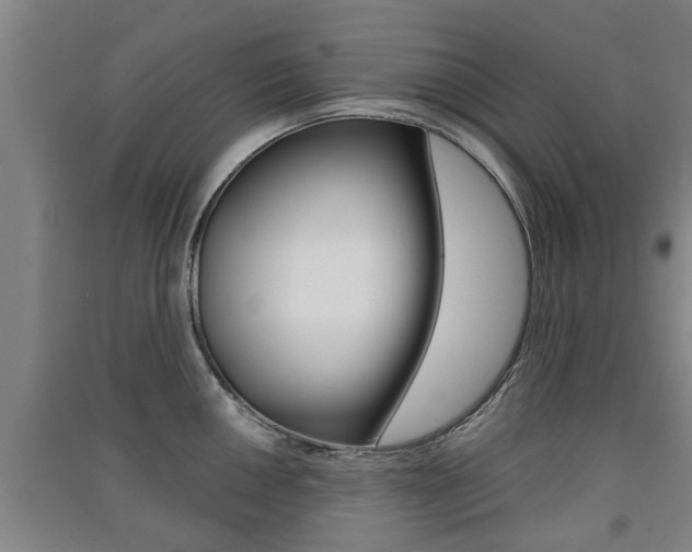 X0000091511050200708170945