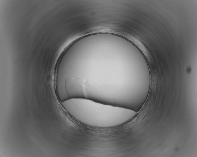 X0000091511051200708170945