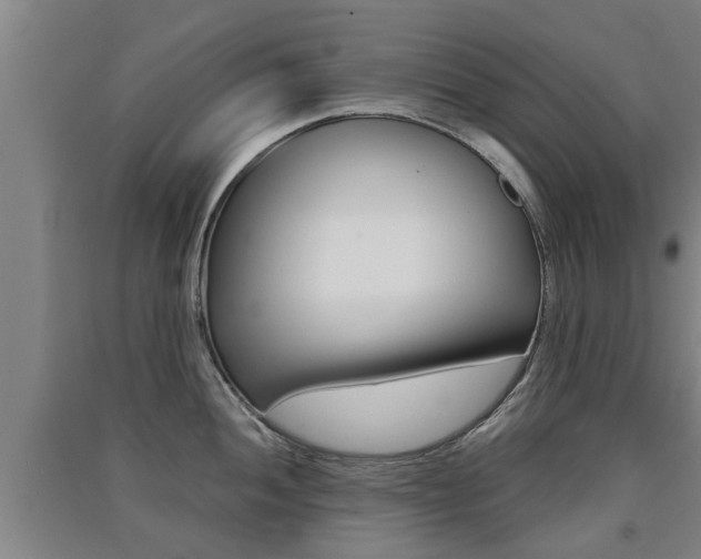 X0000091511052200708170945