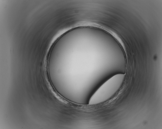 X0000091511053200708170945