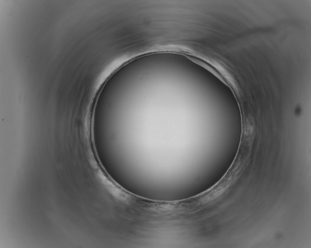 X0000091511054200708170945