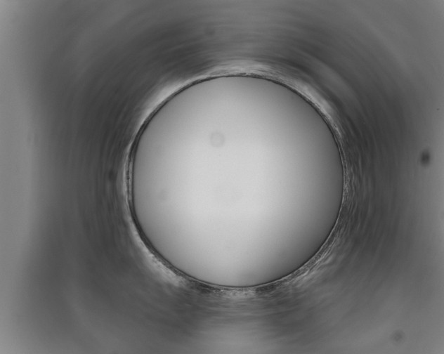 X0000091511055200708170945