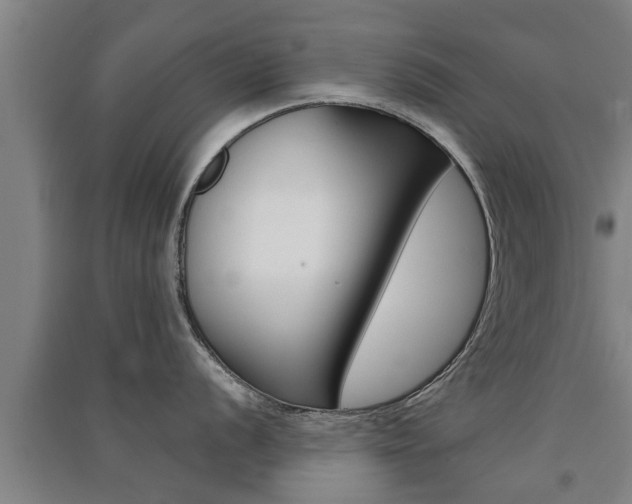 X0000091511056200708170945