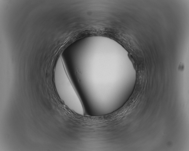 X0000091511057200708170945