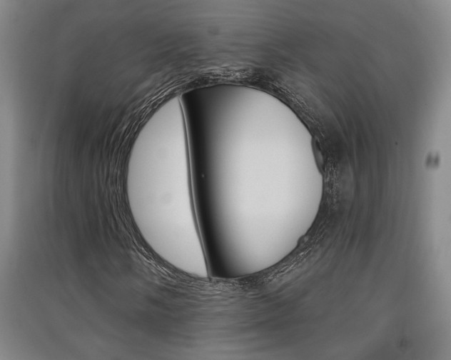 X0000091511058200708170945