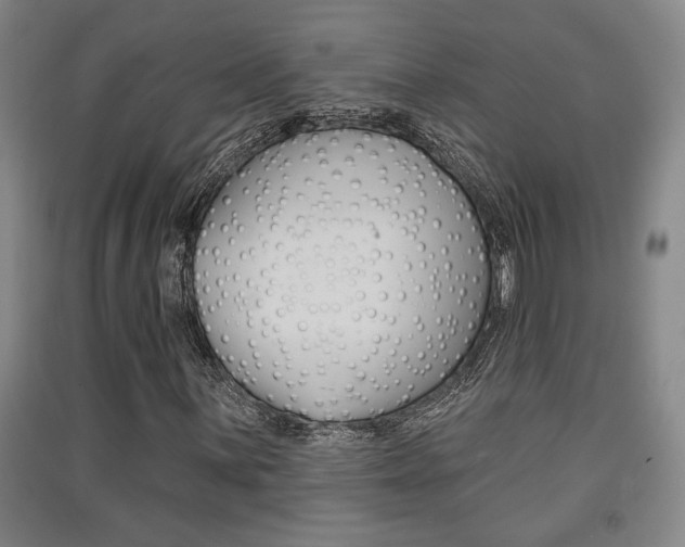 X0000091511059200708170945