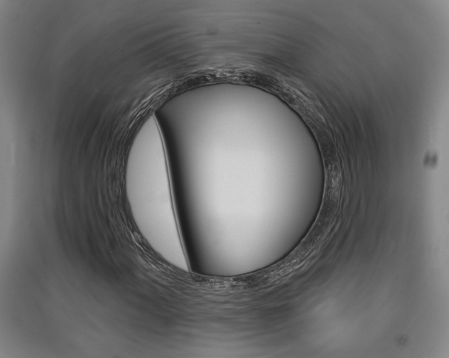X0000091511060200708170945