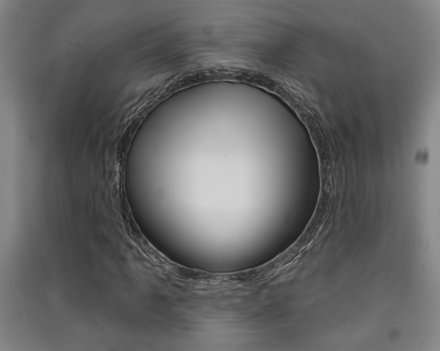 X0000091511061200708170945
