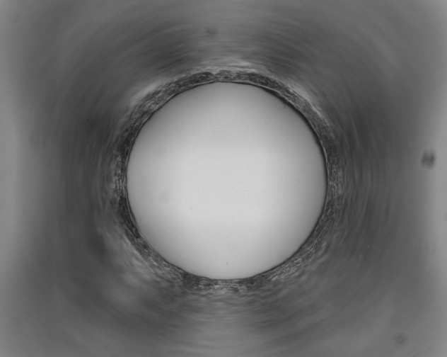 X0000091511063200708170945