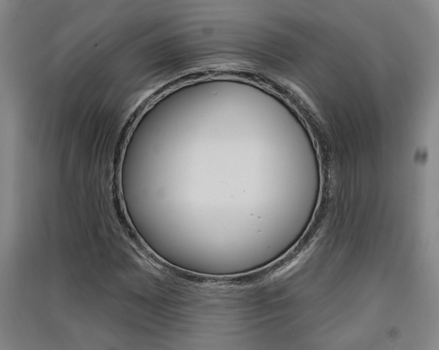 X0000091511065200708170945