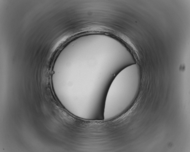 X0000091511067200708170945