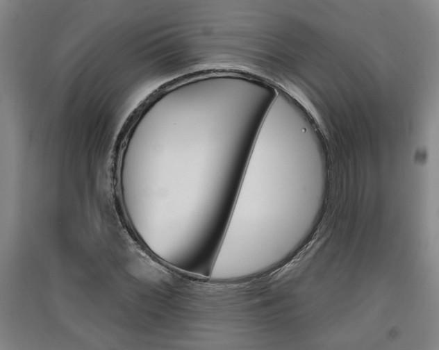 X0000091511068200708170945