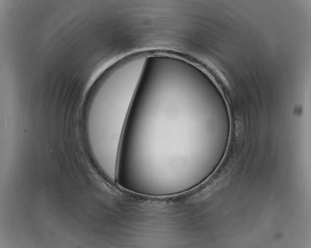 X0000091511069200708170945