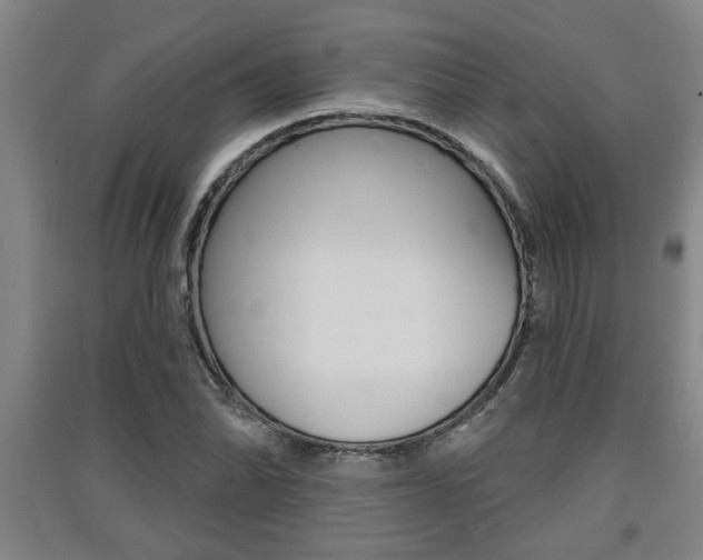 X0000091511070200708170945