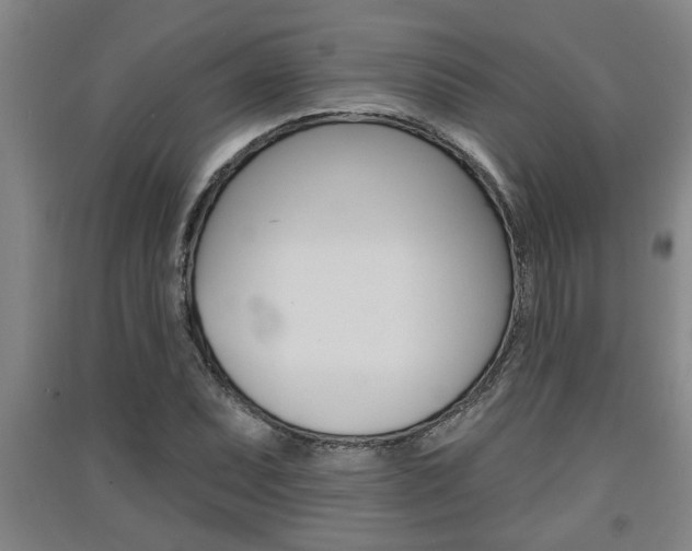 X0000091511071200708170945