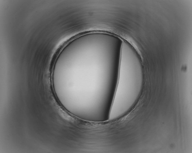 X0000091511072200708170945