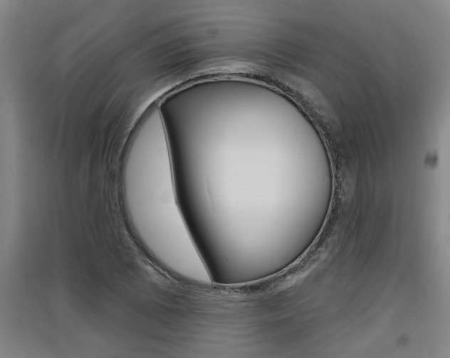 X0000091511073200708170945