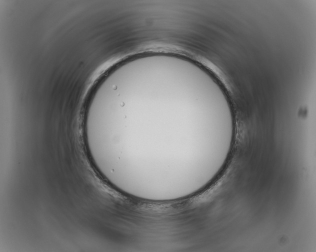 X0000091511074200708170945