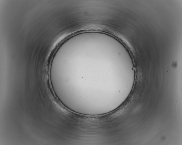 X0000091511075200708170945