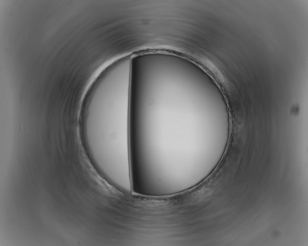 X0000091511076200708170945