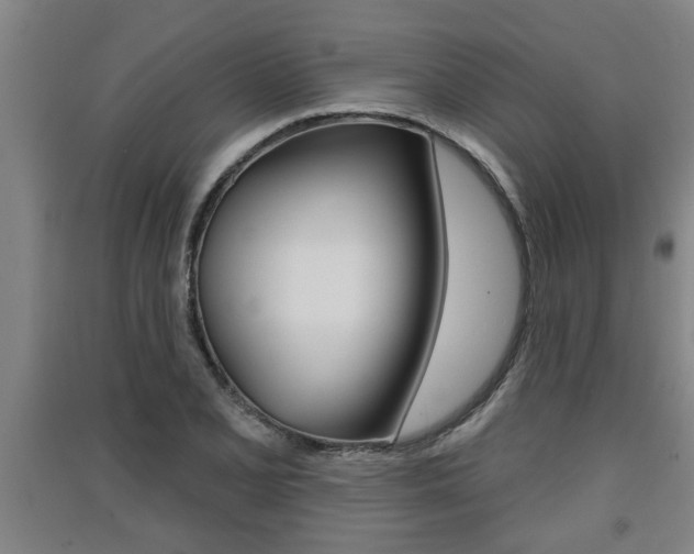 X0000091511077200708170945
