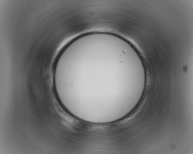 X0000091511078200708170945
