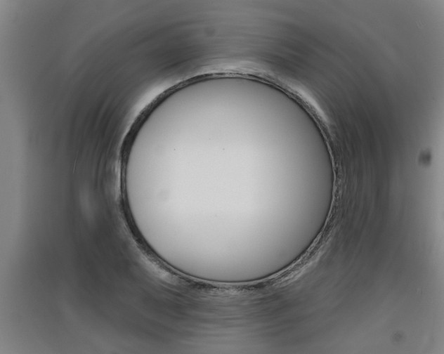 X0000091511079200708170945
