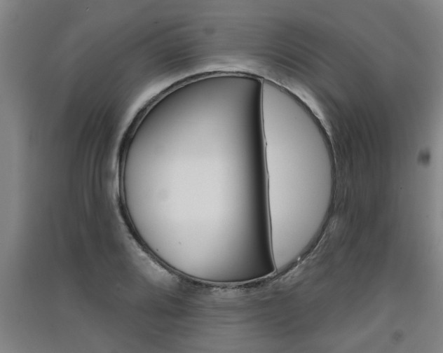 X0000091511080200708170945