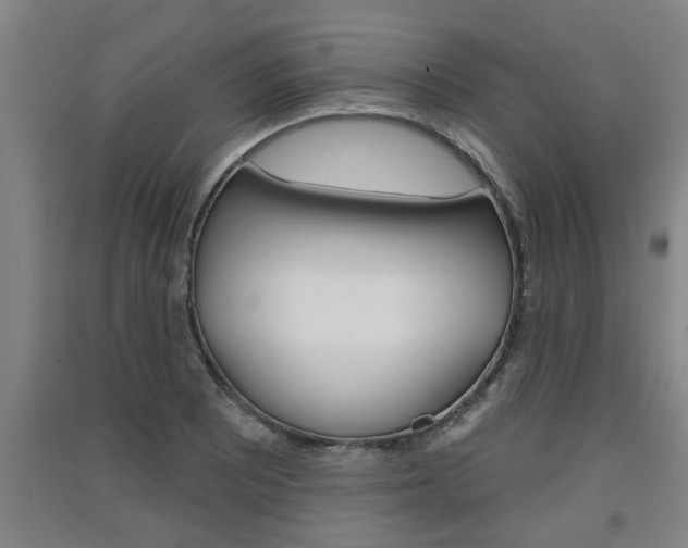 X0000091511081200708170945