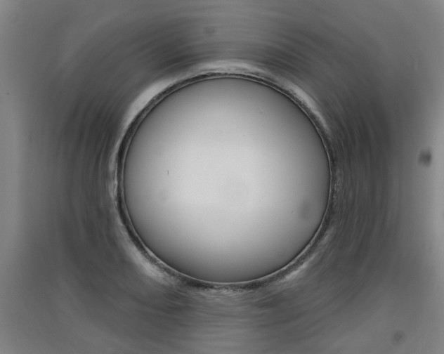 X0000091511082200708170945