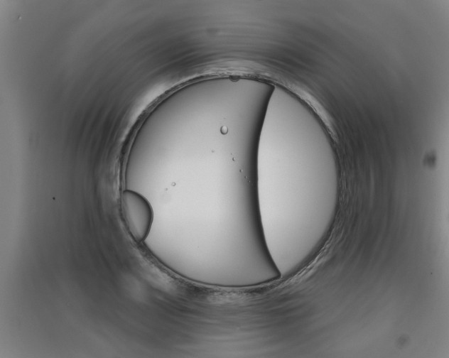 X0000091511083200708170945