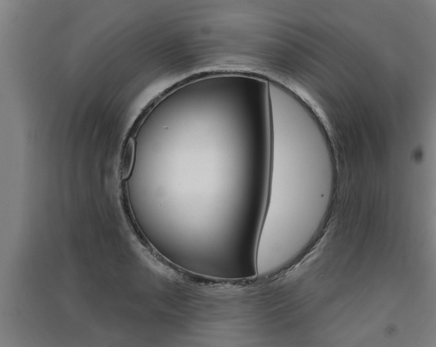 X0000091511085200708170945
