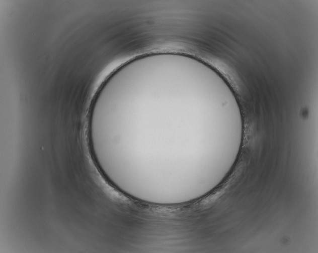 X0000091511086200708170944