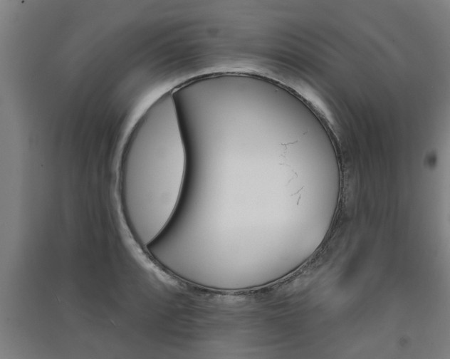 X0000091511088200708170944