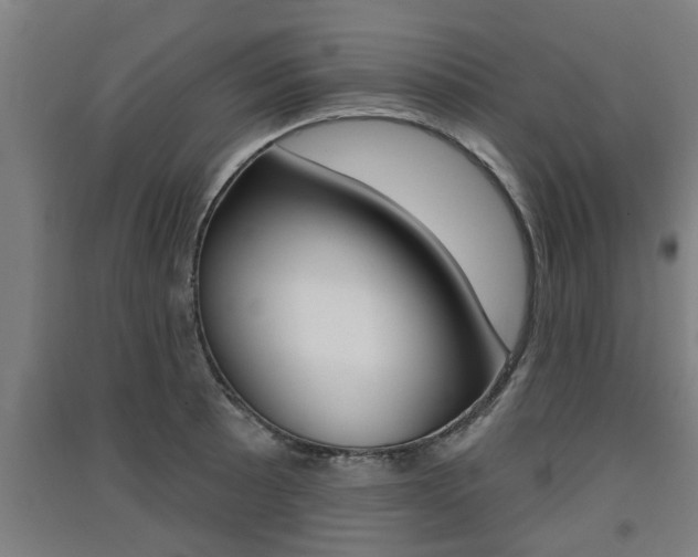 X0000091511089200708170944