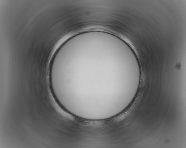 X0000091511090200708170944