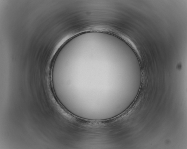 X0000091511091200708170944