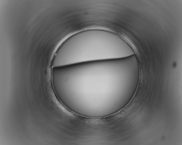 X0000091511092200708170944