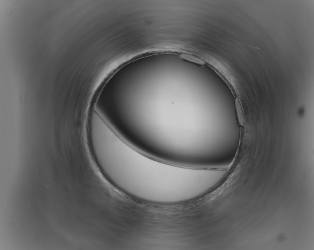 X0000091511093200708170944