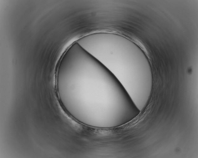 X0000091511095200708170944