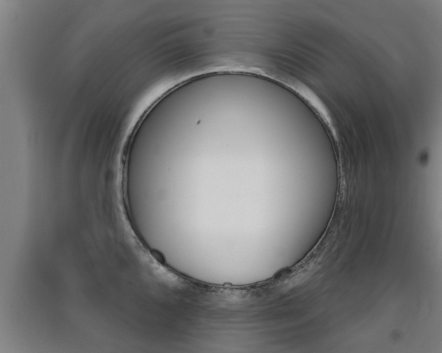 X0000091511096200708170944