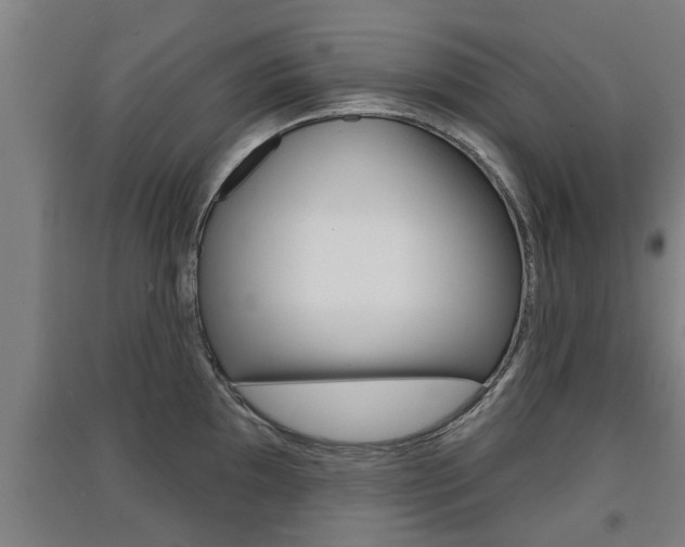 X0000091511097200708170944