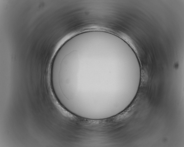 X0000091511098200708170944