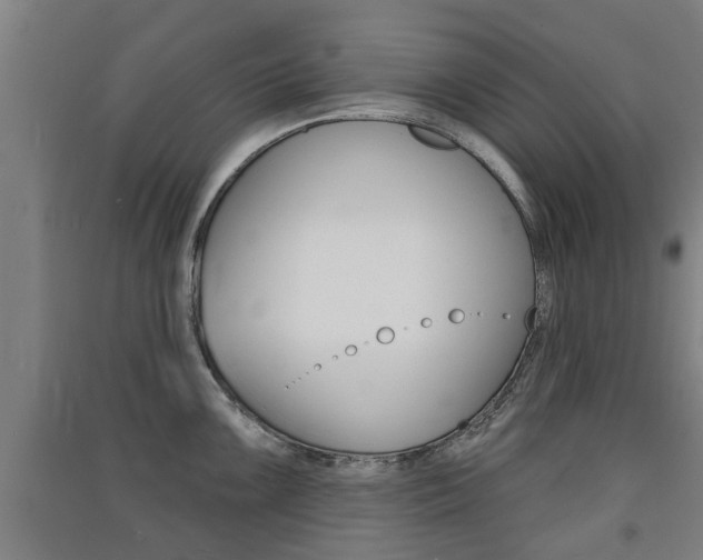 X0000091511099200708170944
