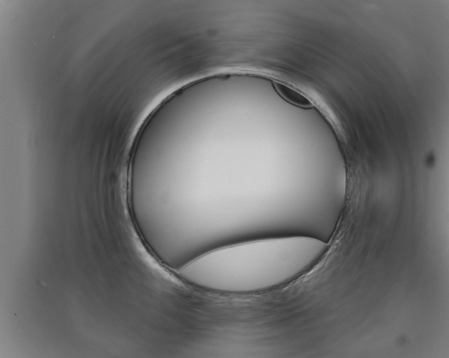 X0000091511100200708170944