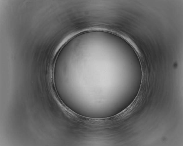X0000091511101200708170944